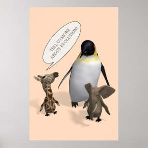 Pôster Vamos Fala Sobre Evolução