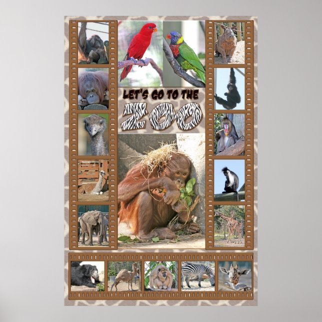 Pôster Vamos para o zoológico (Frente)