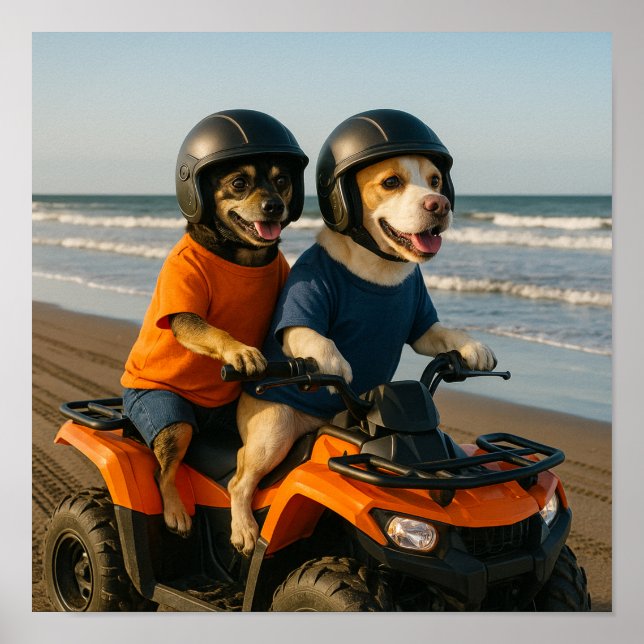 Poster "Vamos pilotar um quadriciclo" (Frente)