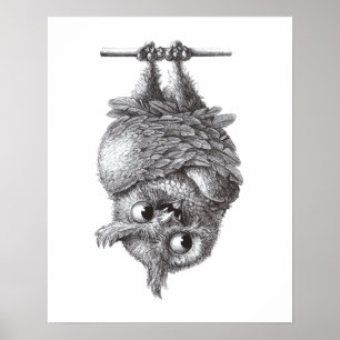 Poster Vampire Owl - Very Scary