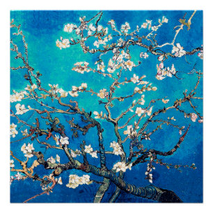 Pôster Van Gogh Almond Blossomo Turquesa brilhante