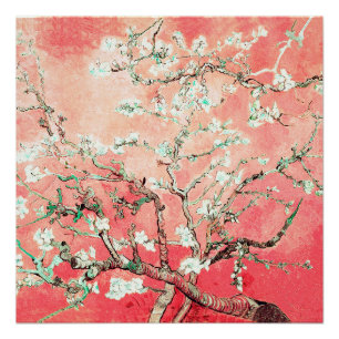 Pôster Van Gogh Almond Blossoms