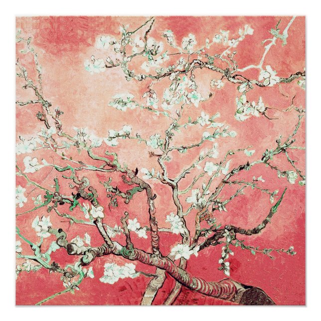 Pôster Van Gogh Almond Blossoms (Frente)