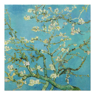Pôster Van Gogh Almond Blossoms