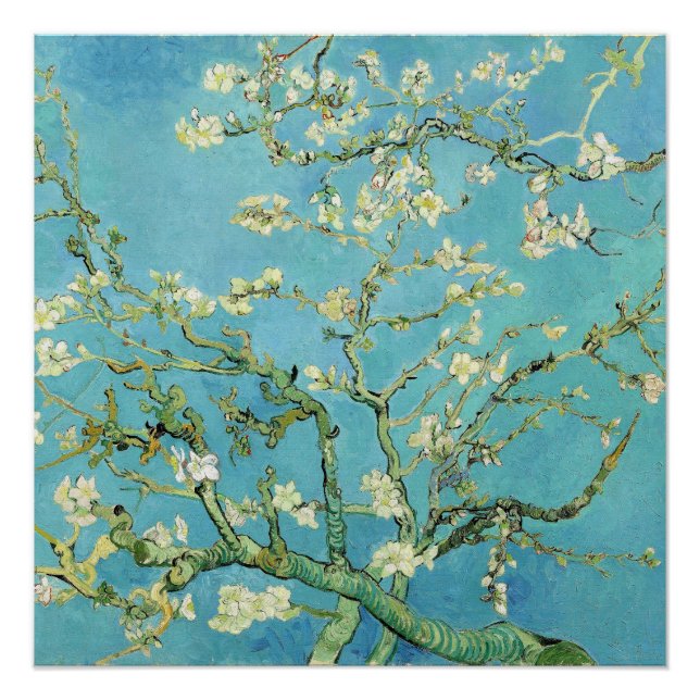Pôster Van Gogh Almond Blossoms (Frente)