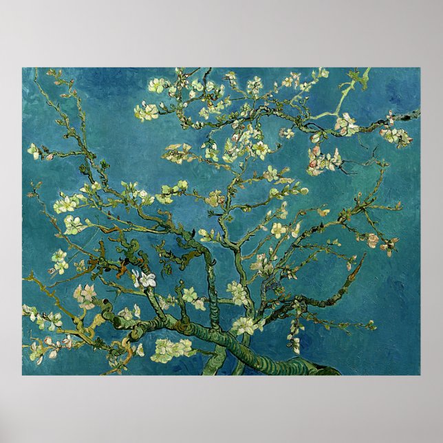 Pôster Van Gogh Almond Blossoms (Frente)
