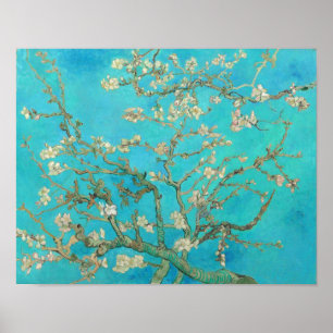 Poster Van Gogh Almond Blossoms