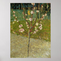Van Gogh - Árvore De Amêndoa No Flor
