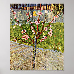 Poster Van Gogh - Árvore de Amêndoa no Flor