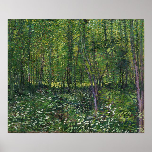 Poster Van Gogh - Árvores e Sub-bosque (Frente)
