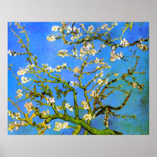 Poster Van Gogh: Blossoming Almond Tree Branches