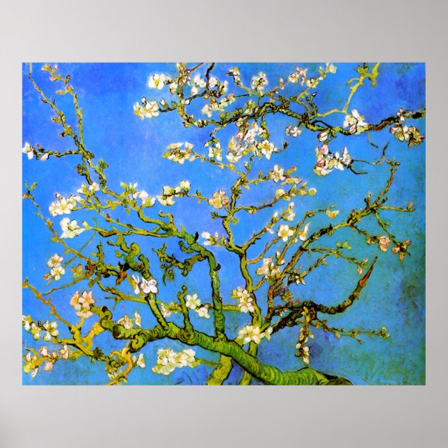 Poster Van Gogh: Blossoming Almond Tree Branches (Frente)