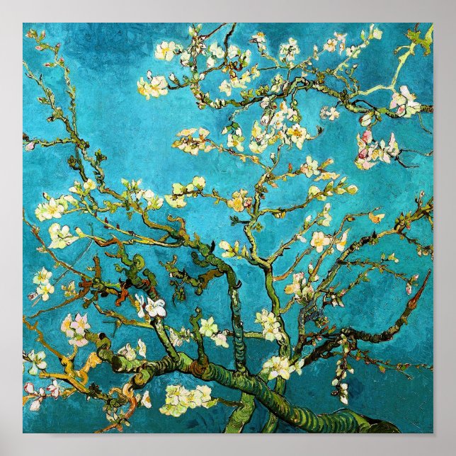 Pôster Van Gogh Blossoming Almond Tree (F671) Belas Artes (Frente)