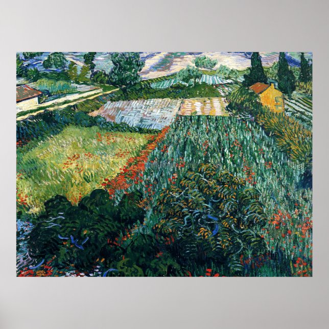 Poster Van Gogh - Campo com Poppies (Frente)