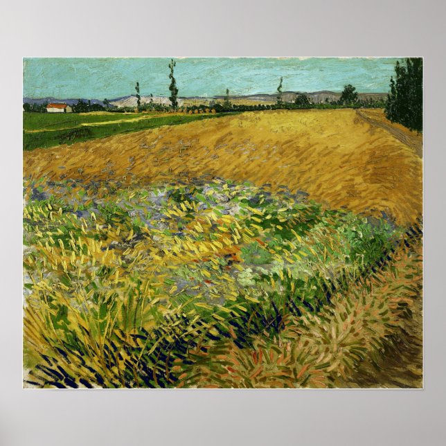 Poster Van Gogh - Campo de Trigo (Frente)