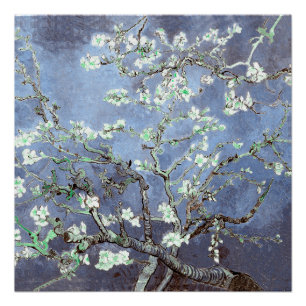 Pôster Van Gogh Flores de Amendoeira Azul Aço