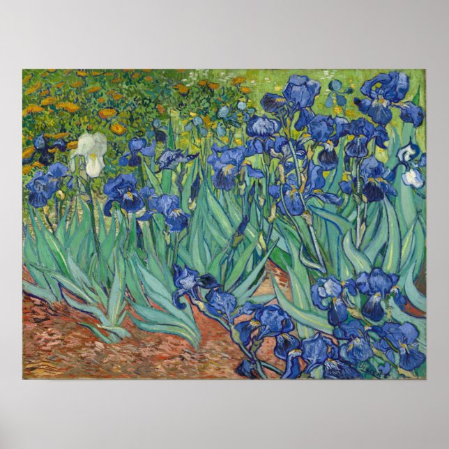 Poster Van Gogh - Íris (Frente)