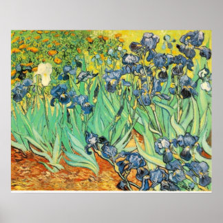 Poster Van Gogh Irises