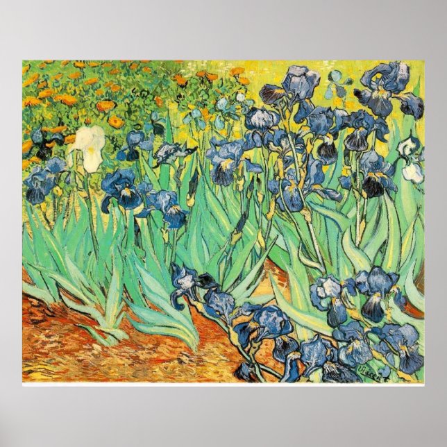 Poster Van Gogh Irises (Frente)