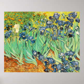 Poster Van Gogh Irises