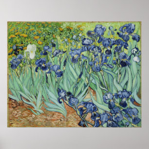 Pôster Van Gogh Irises, Apos impressionismo de Arte Vinta