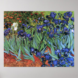 Poster Van Gogh Irises (F608) Vintage Fine Art