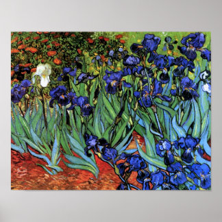 Pôster Van Gogh Irises (F608) Vintage Fine Art