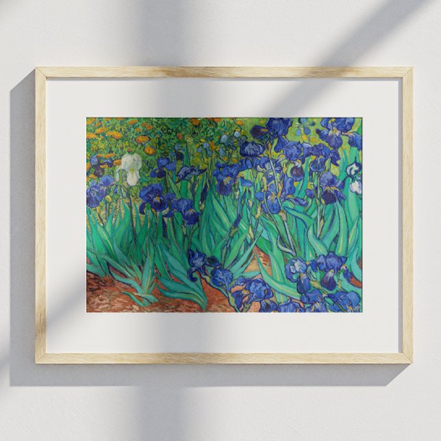 Poster Van Gogh Irises. impressionismo floral azul (Criador carregado)
