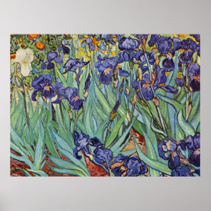 Poster Van Gogh Irises Impressionist Painting