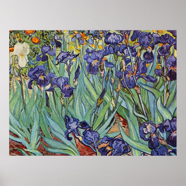 Poster Van Gogh Irises Impressionist Painting (Frente)