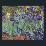 Poster Van Gogh Irises Impressionist Painting<br><div class="desc">Vincent Van Gogh Irises at Saint Remy - Irises by Vincent Van Gogh is a wonderful impressionistic painting by one of the master impressionism artists of all time. The iris garden is swirling with color and emotion, as the purple irises flow up from their blue green stems and leaves. There...</div>