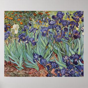 Poster Van Gogh Irises Impressionist Painting