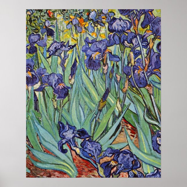 Pôster Van Gogh Irises Impressionist Painting (Frente)