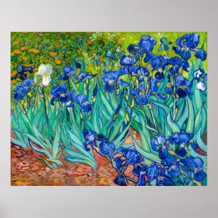 Poster Van Gogh, Irises, Les Iris, 1889