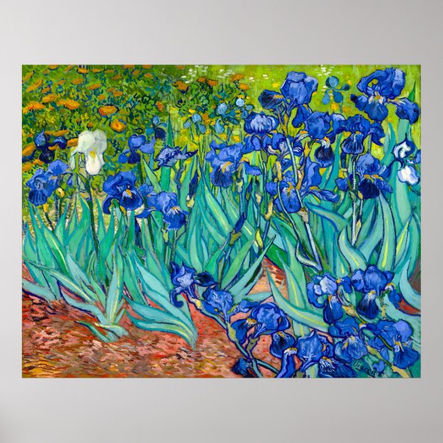 Poster Van Gogh, Irises, Les Iris, 1889 (Frente)