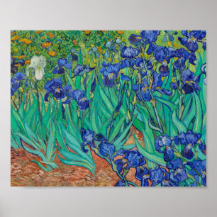 Poster Van Gogh Irises Painting