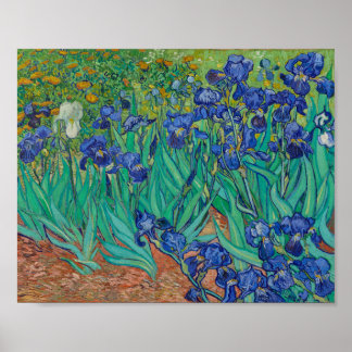 Poster van Gogh - Irrises (1889)