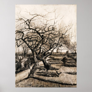 Poster Van Gogh - O Nuenen Do Parsonage Garden No Inverno