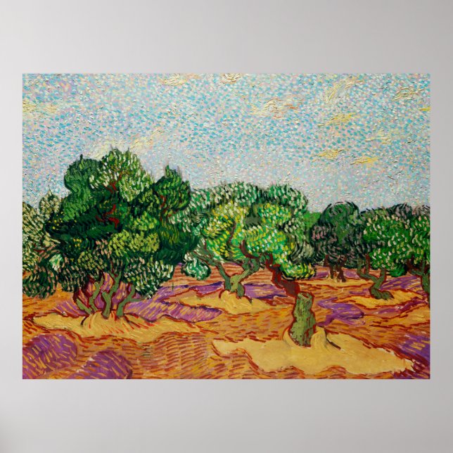 Poster Van Gogh - Olive Trees,  (Frente)