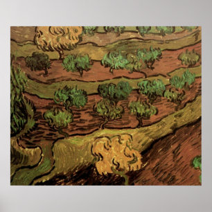 Pôster Van Gogh Olive Trees Contra um Morro