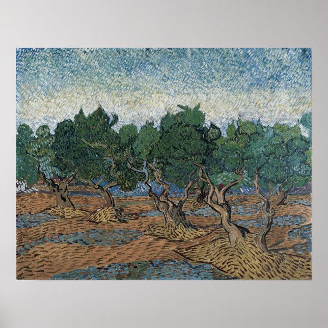 Poster Van Gogh - Oliveira (Frente)
