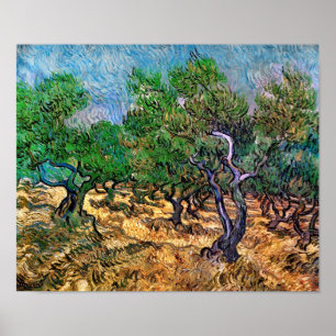 Poster Van Gogh - Oliveira