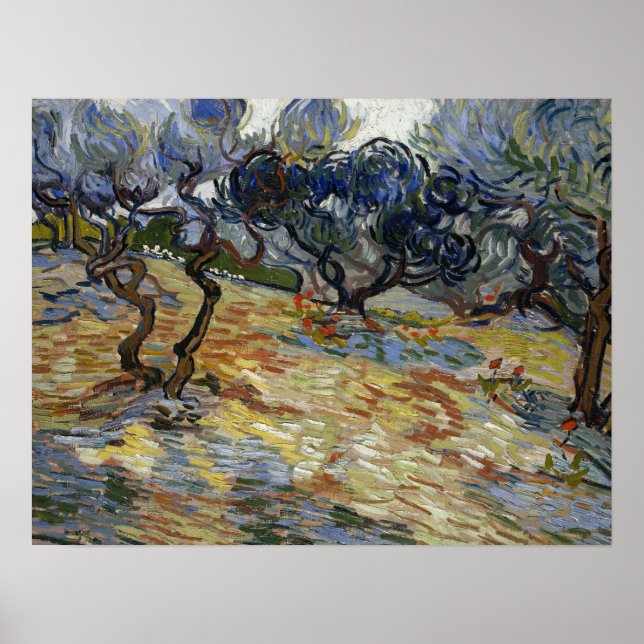 Poster Van Gogh - Oliveiras (Frente)