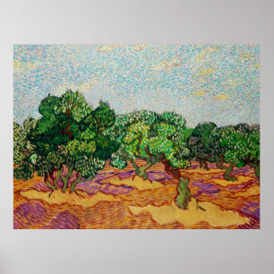 Poster Van Gogh - Oliveiras,