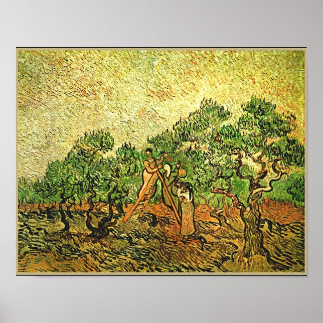 Poster Van Gogh - Oliveiras, pintura de arte, (Frente)