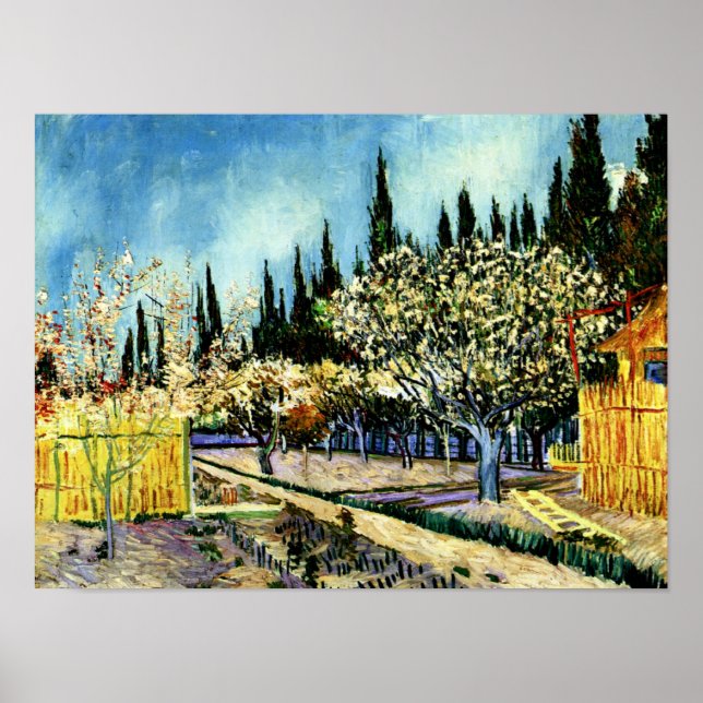 Poster Van Gogh - Pomar cercado por ciprestes (Frente)