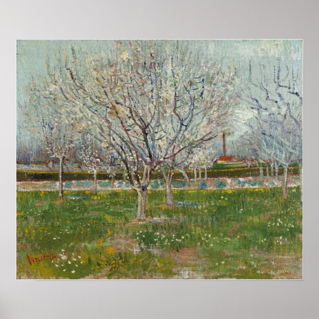 Poster Van Gogh - Pomar em Flor (Pessegueiros) (Frente)