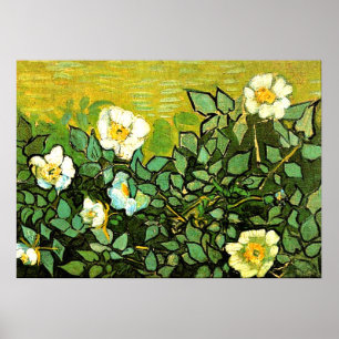 Poster Van Gogh - Rosas selvagens, pintura floral Van Gog