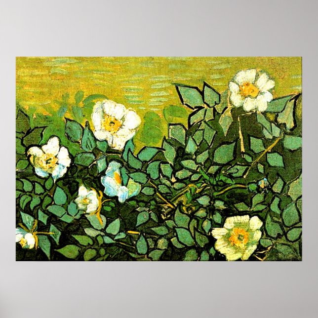 Poster Van Gogh - Rosas selvagens, pintura floral Van Gog (Frente)