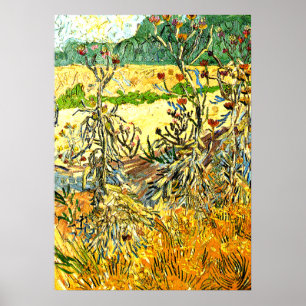 Poster Van Gogh - Tistles, 1888 pintura de vintage